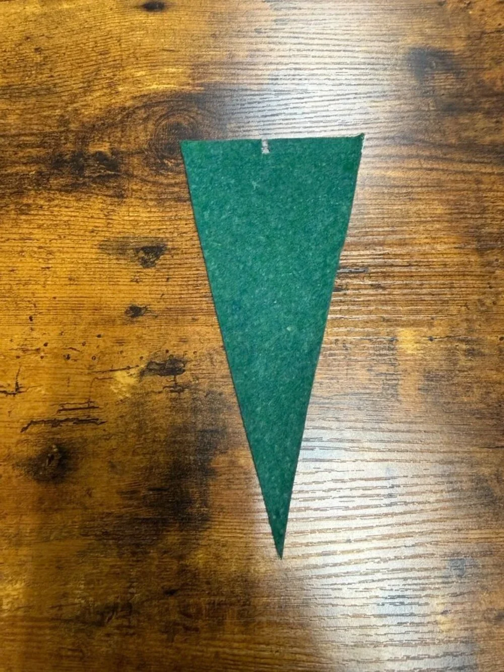Vintage Silver Springs, Fla mini pennant